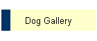 Dog Gallery