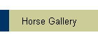 Horse Gallery