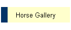 Horse Gallery